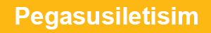 Pegasusiletisim Logo